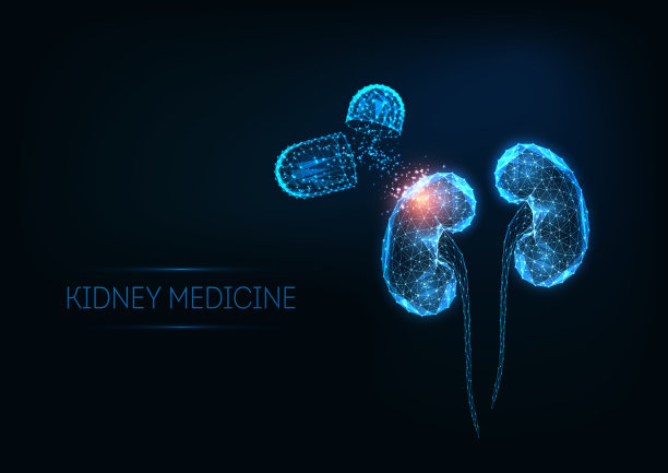 未来的肾脏医学概念与发光图片下载