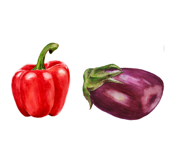 用分离辣椒和茄子的水彩食物插图图片下载