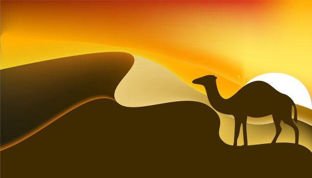 下午在沙漠图片下载