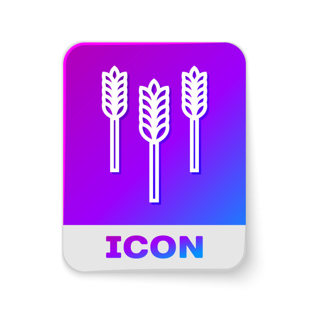 白线谷物与水稻、小麦、玉米图片下载