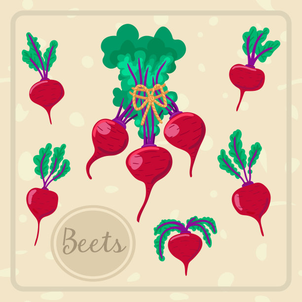 在集市上挂着蔬菜和甜菜的横幅图片下载