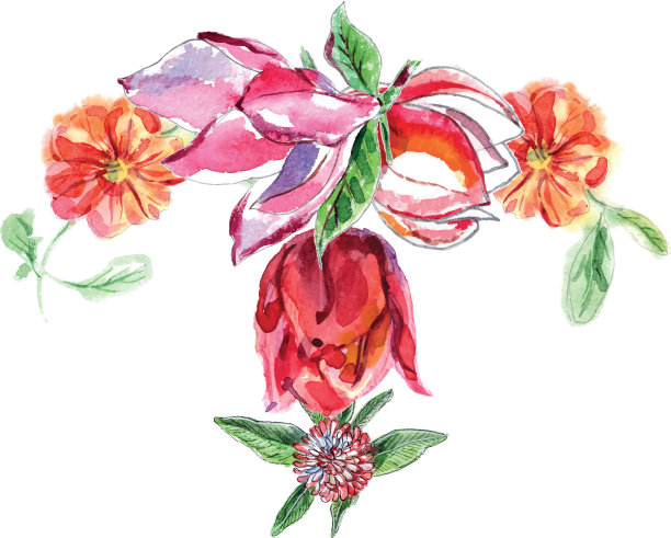 来自不同花朵的水彩花束图片下载