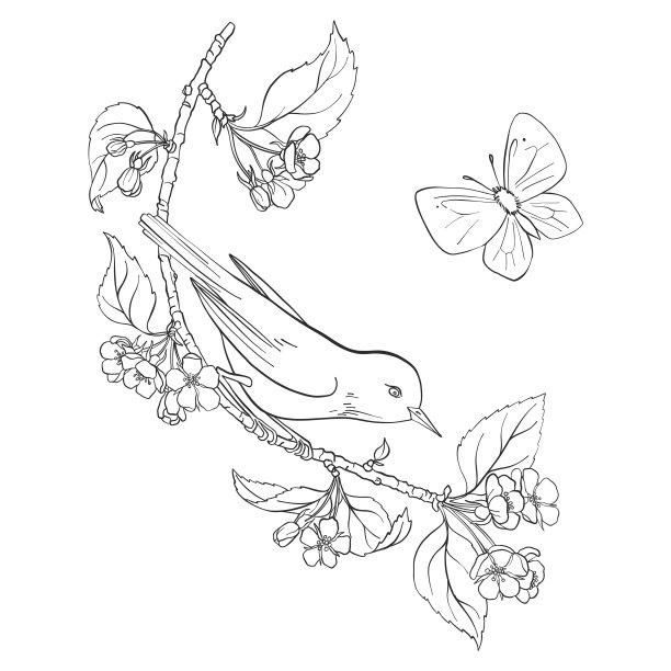 鸟在树枝上图片下载