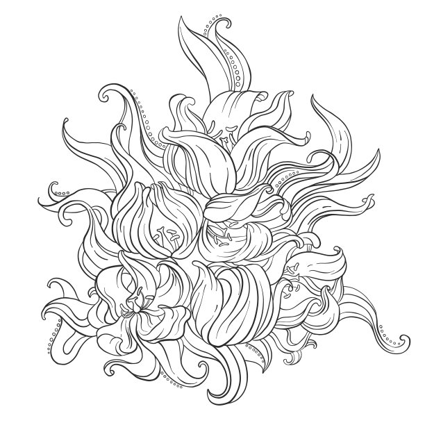 抽象的花卉组成与花郁金香图片下载