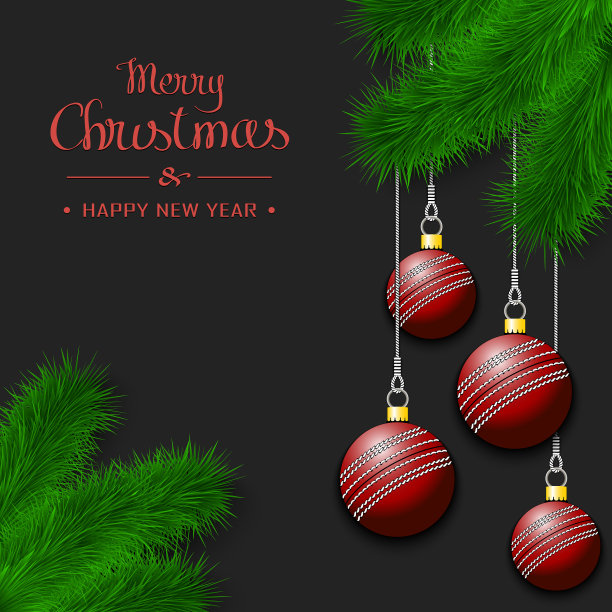 圣诞树枝上的板球图片下载