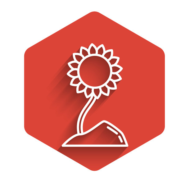 向日葵图标白线与长孤立图片下载