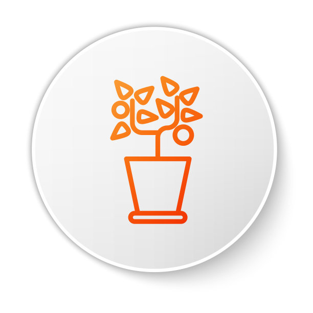 橙色系植株在盆上孤立白色图标图片下载