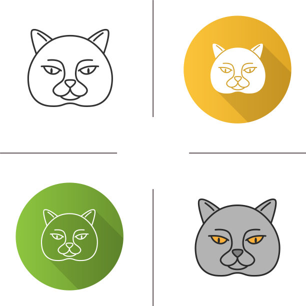 英国短毛猫偶像图片下载