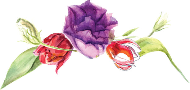 来自不同花朵的水彩花束图片下载