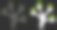 耀斑网网钱树图标与耀斑图片下载