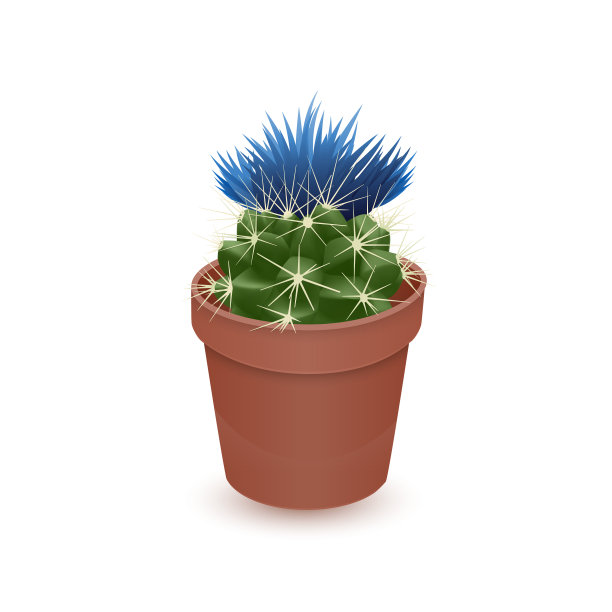 开花的仙人掌孤立在白色背景上图片下载