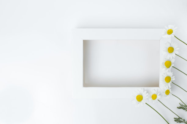 装饰木框架装饰的新鲜洋甘菊花在白色的背景。水疗中心的概念图片下载