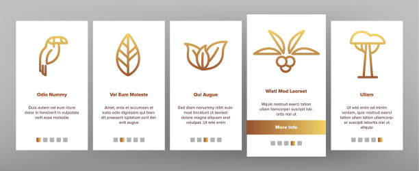 丛林森林上的图标设置图片下载