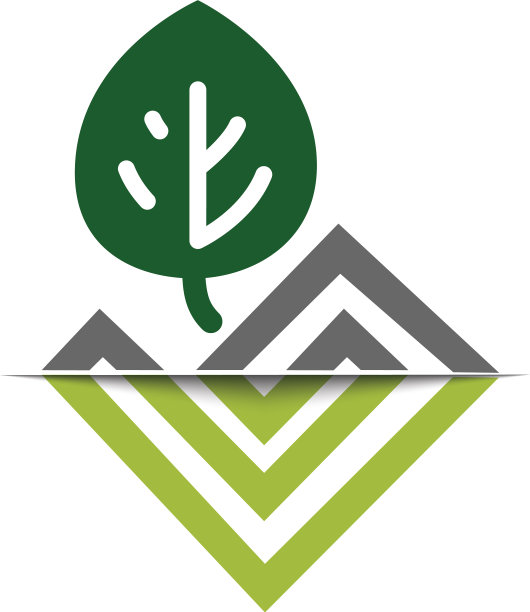 标志绿色的叶子与抽象的建筑设计图片下载