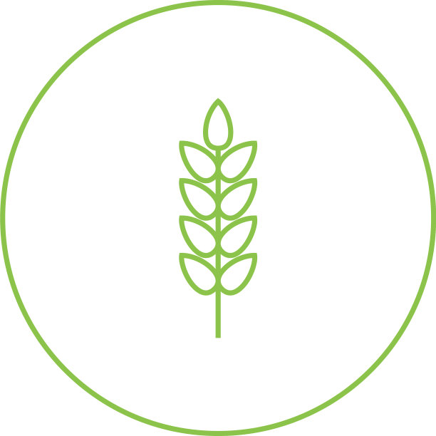 美丽的小麦线图标图片下载