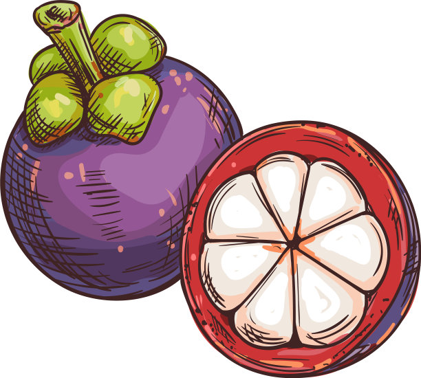 可食用的山竹果实，整个和剥皮分离图片下载