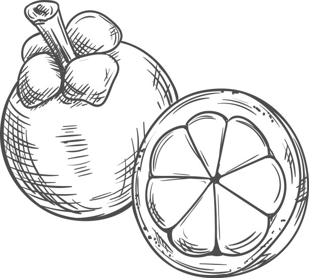 可食用的山竹果实，整个和剥皮分离图片下载