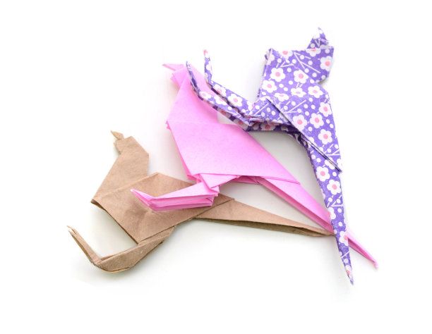 三折纸袋鼠图片下载