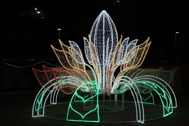 巴西马塞奥市的圣诞花图片下载