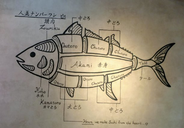 金枪鱼图片下载