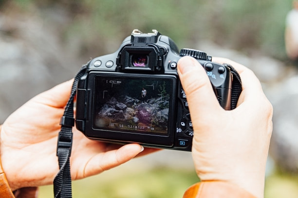 春天的灵感图片下载