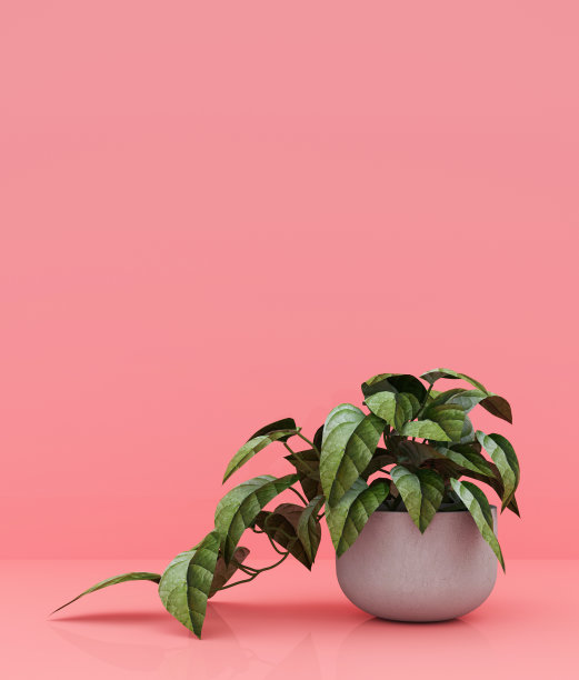 粉彩盆栽背景，简约风格概念背景，3d渲染图片下载