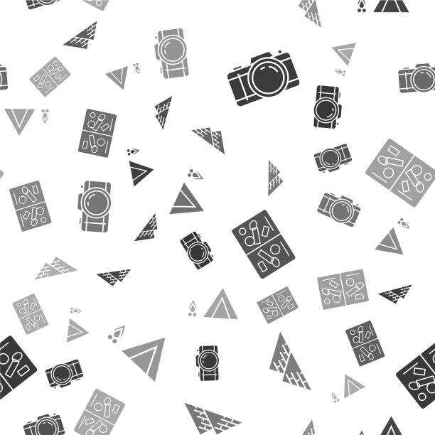 Set photo camera埃及金字塔护照页图片下载