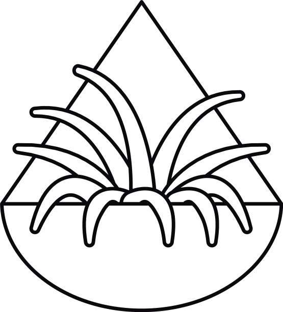 肉质植物在墙盆内平填图片下载