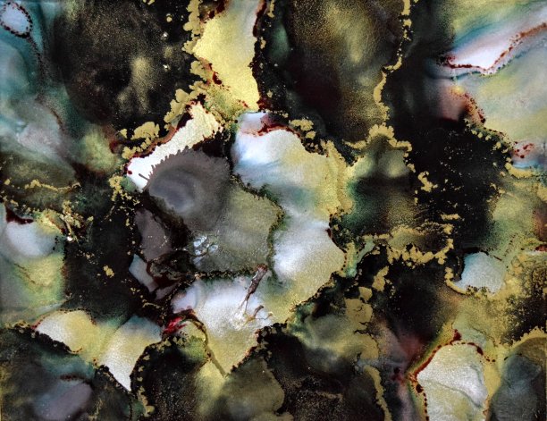 乌木的本质图片下载