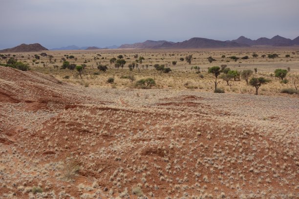 化石沙丘(由石头制成的古老红色沙丘)，背景是干旱平坦的土地，位于纳米比亚-瑙克卢夫特国家公园图片下载