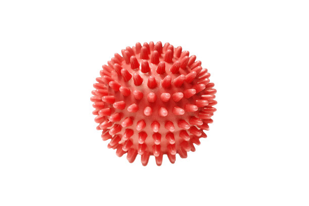 红色按摩健身球孤立在白色背景。刺猬球。特写的蓝色尖刺按摩球的健康治疗。和狗狗玩的橡皮球。冠状病毒COVID-19模型。图片下载