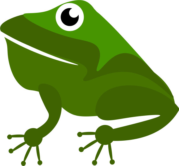 一种绿色的青蛙或颜色图片下载