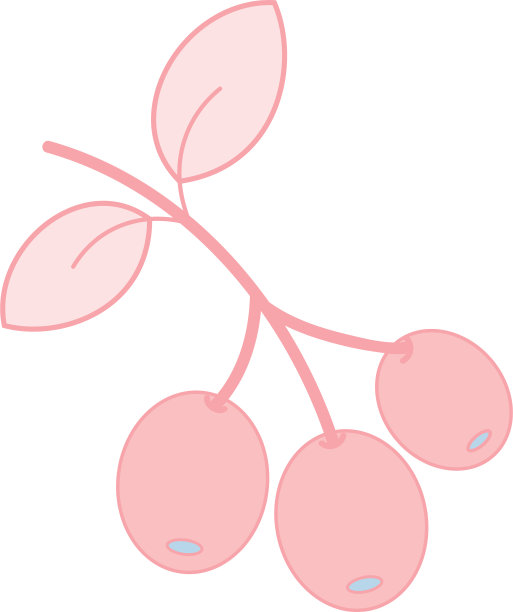 有叶子和谷物的咖啡植物图片下载