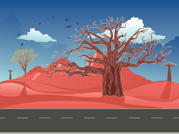 红色的澳大利亚沙漠图片下载