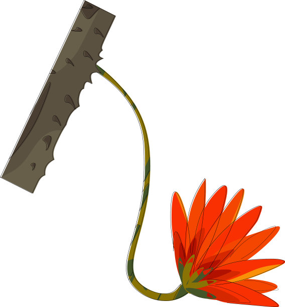 想象珊瑚树或颜色图片下载