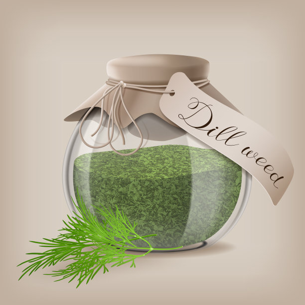 干燥的莳萝草在一个玻璃罐与莳萝枝图片下载