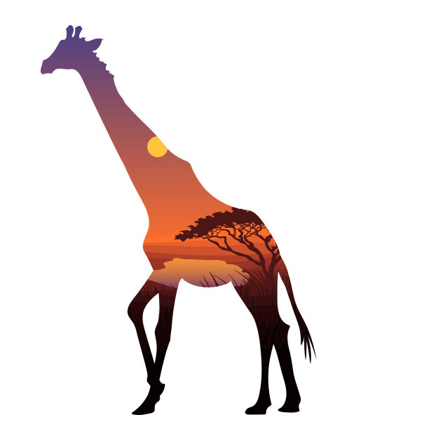 非洲斑马轮廓模板图片下载