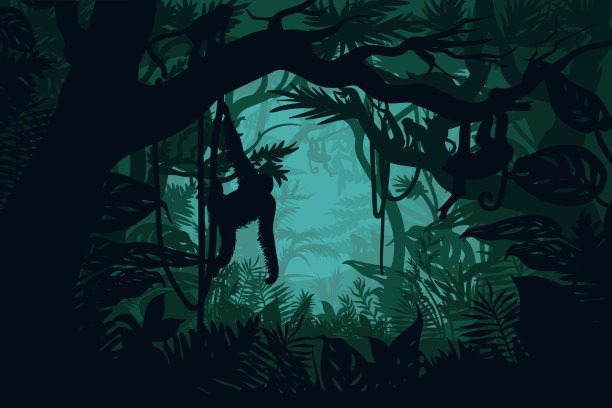 天然丛林景观模板图片下载