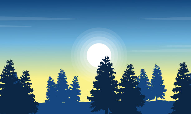 清晨云杉森林景观图片下载