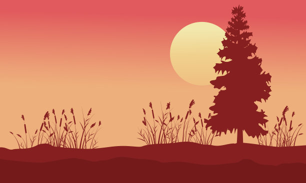 日出时云杉和草地的美景图片下载