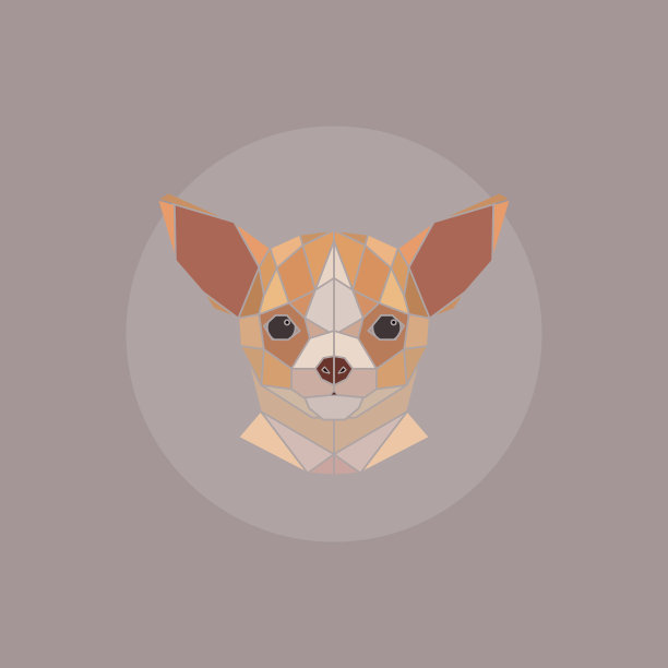 几何吉娃娃的头图片下载