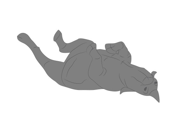 那只正在画颜色的犀牛图片下载