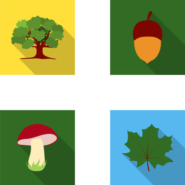 橡树、橡子、食用菌、枫树、绿化等图片下载