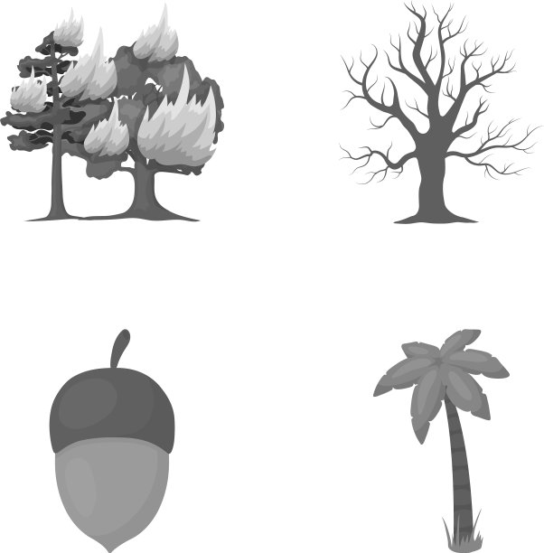 燃烧的树，棕榈，橡子，干燥的树，森林set图片下载