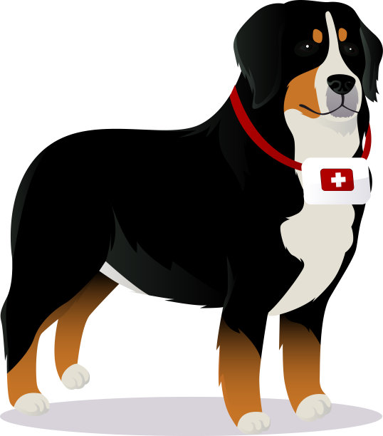 中国沙皮狗图片下载