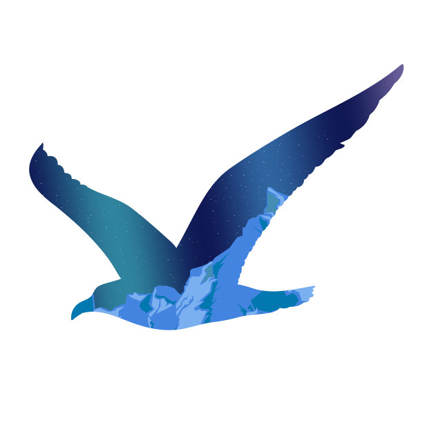 飞翔的海鸥剪影概念图片下载