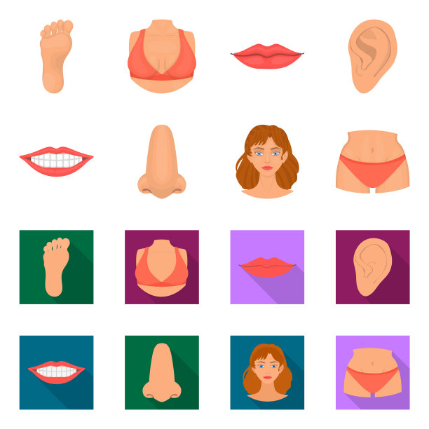 身体和身体部分符号组的设计图片下载