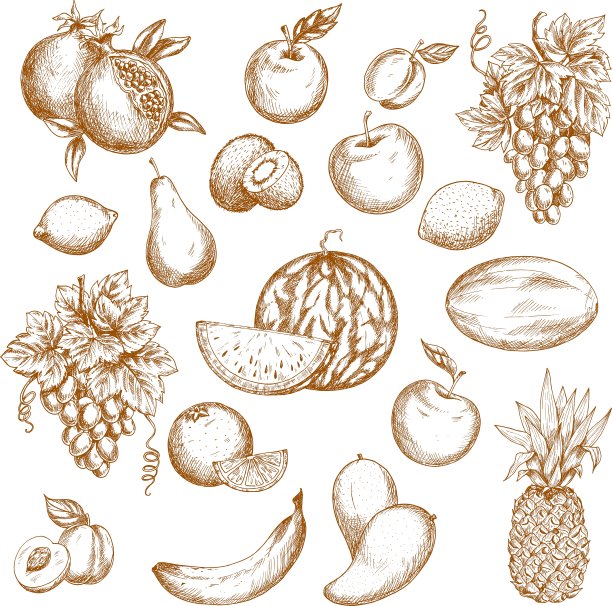 健康食品设计的新鲜水果素描图片下载