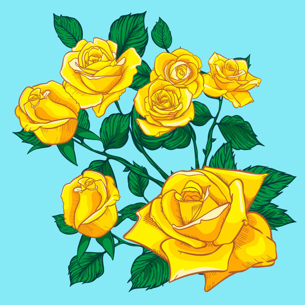 花，玫瑰花蕾和绿叶，玫瑰集图片下载