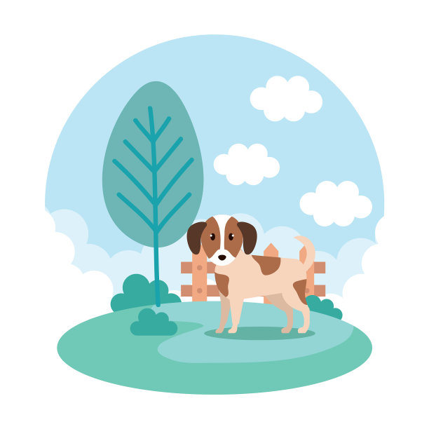 公园里可爱的狗图片下载